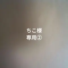ちこ様専用②