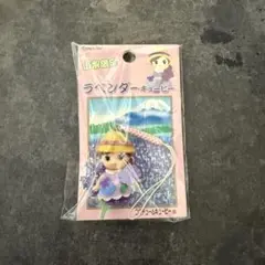 ラベンダー　キューピー　山梨