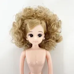 2026年最新】リカちゃんキャッスル アフロの人気アイテム - メルカリ