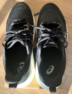 Item thumbnail for item acfa9cbf-c4d6-4432-86fd-7036d3d7079f