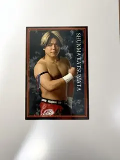 Item thumbnail for item 6f724cb1-c53c-41b8-89a2-4c3bad13a6d4