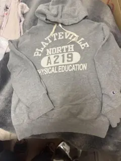 Champion PLATTEVILLE NORTH A219 パーカー