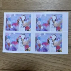 いれいす 初兎 実写チェキ 夏ツ 2024