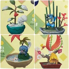 2025年最新】ぽけっとbonsai ホウオウの人気アイテム - メルカリ