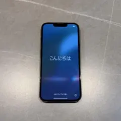Apple iPhone 14 ガラスコーティング