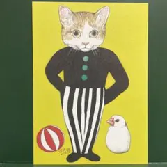 ヒグチユウコ*ポストカード*704