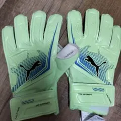 Item thumbnail for item af8d0ea2-60ef-45cf-a184-1facfe60322e