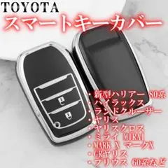 Item thumbnail for item e8f87381-791f-4683-b86e-bd00ed979ec3