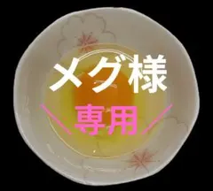 ネラ　あすなろ　烏骨鶏　ゆめちゃん食品のサムネイル