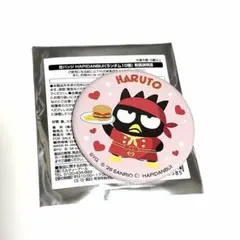 TREASURE 缶バッジ ハルト