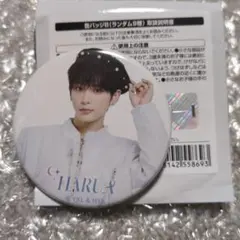 &TEAM カフェ CAFE 缶バッジ B HARUA ハルア