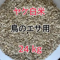 ヤケ白米　２４kg　鳥の餌　エサのサムネイル
