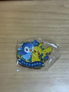 激レア ポケモン ピンバッジ ピカチュウ ポッチャマ 中国限定