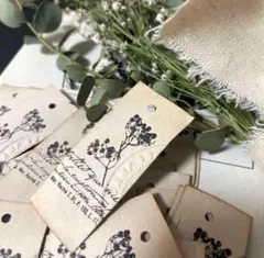 Item thumbnail for item cb08133b-9053-46b0-875b-9007c79c58d7