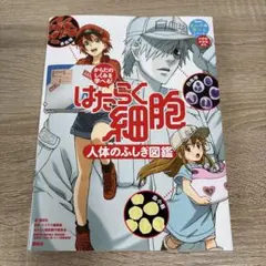 Item thumbnail for item e46ed6b9-d390-4da6-88cf-424e50b62bb9