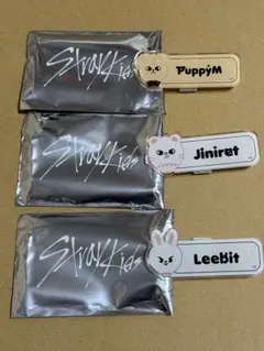 straykids ランダムネームバッジ　セット