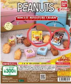 PEANUTS ビスケットミニチュアチャーム　スタンドパック2個セット