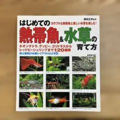 はじめての熱帯魚&水草の育て方