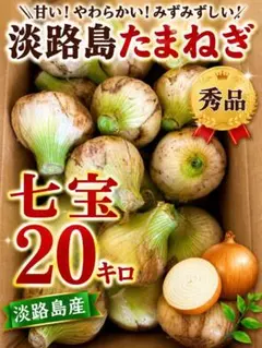 希少】一片種にんにく 10kg 土付き 業務用 保存用 - メルカリ