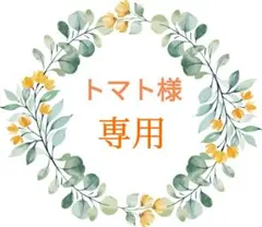 トマト様 リクエスト 2点 まとめ商品