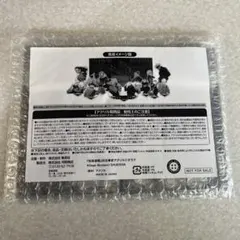 呪術廻戦 ジャンプ GIGA 応募者全員サービス 渋谷事変アクリルジオラマ