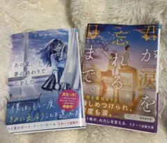 青春恋愛小説 2冊セット