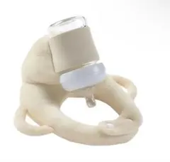 Item thumbnail for item ca4e3742-2436-4274-83cd-1d85076e4110