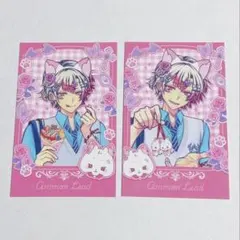 あくねこ テーマパークデート チェキ風カード アモン ⑤