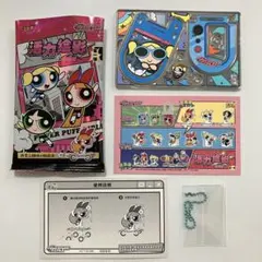 【日本未発売】パワーパフガールズ アクリル キーホルダー 最高レア バブルス