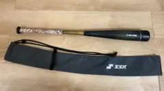 Item thumbnail for item 7c91c13b-f506-449f-9c81-f307c18d765b