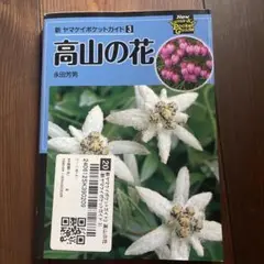高山の花