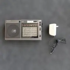 イエロー・モンキー 様専用SONY ICF-EX5MK2 FM/AM/ラジオ - メルカリ