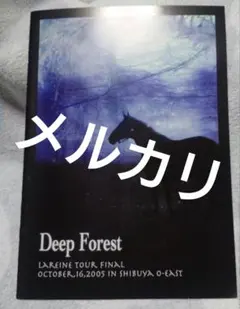 LAREINE Deep Forestツアーパンフレット KAMIJO