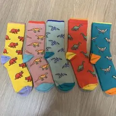 キッズ恐竜靴下5足セット
