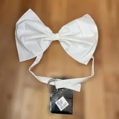 Item thumbnail for item 47a1523e-7c8e-42c1-a9f7-2dbfc5914816