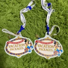 パケーションパッケージ　チケットホルダー　2個セット