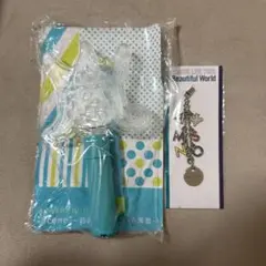 【即日発送】嵐 ペンライト キーホルダー セット