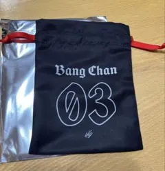 Stray Kids dominATE JAPAN VR バンチャン