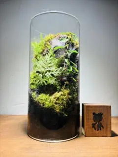 2026年最新】パルダリウムの人気アイテム - メルカリ