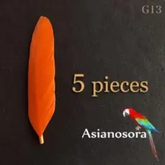 【G13オレンジ】5枚 ガチョウ 羽根 フェザー 鳥 羽 アクセサリー パーツ