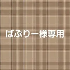 ぱぷりー様専用ページ