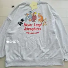ディズニー ピーターパン ロストボーイズ トレーナー スウェット M