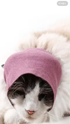 Item thumbnail for item 0de921d7-163f-4020-a304-7488de83095f