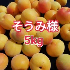 みかん様 山梨県産 新鮮 中熟～完熟 小粒南高梅 5kg - メルカリ