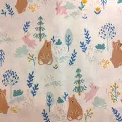 Item thumbnail for item bc0a72b6-d1d5-4018-8d47-b7f19cb73e3c