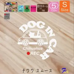 Item thumbnail for item a926aae8-1646-41d7-bcc7-d9567e54084f