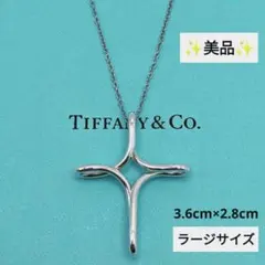 美品 ティファニー インフィニティクロス ネックレス 925ラージ 社外チェーン