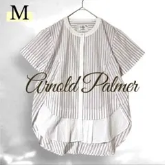 Item thumbnail for item 58cea910-d8d6-4c62-875c-0b80bd777440