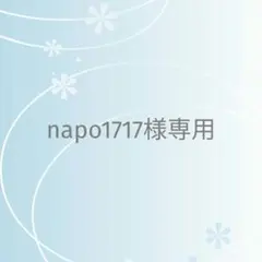 napo1717様 リクエスト 2点 まとめ商品