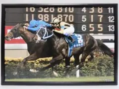 2025年最新】ステイゴールド 競馬の人気アイテム - メルカリ